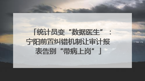 统计员变“数据医生”：宁阳前置纠错机制让审计报表告别“带病上岗”