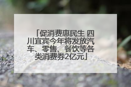 促消费惠民生 四川宜宾今年将发放汽车、零售、餐饮等各类消费券2亿元