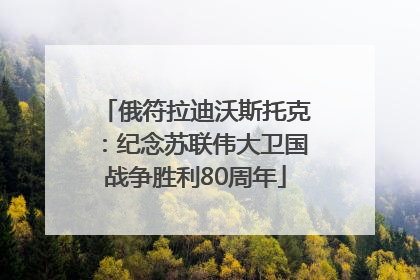 俄符拉迪沃斯托克：纪念苏联伟大卫国战争胜利80周年