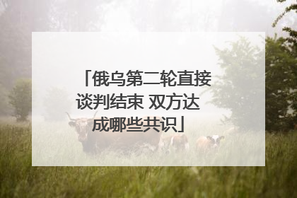 俄乌第二轮直接谈判结束 双方达成哪些共识