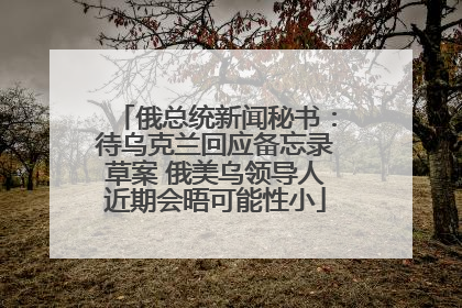 俄总统新闻秘书：待乌克兰回应备忘录草案 俄美乌领导人近期会晤可能性小
