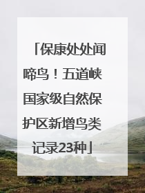 保康处处闻啼鸟！五道峡国家级自然保护区新增鸟类记录23种
