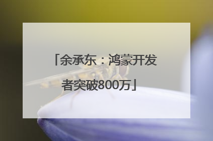 余承东：鸿蒙开发者突破800万