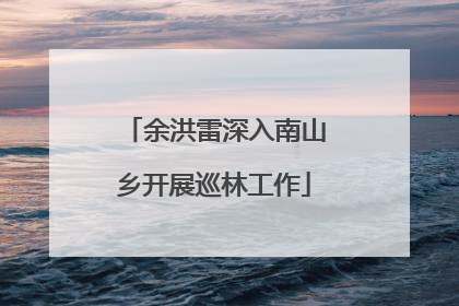 余洪雷深入南山乡开展巡林工作