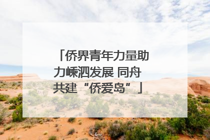 侨界青年力量助力嵊泗发展 同舟共建“侨爱岛”