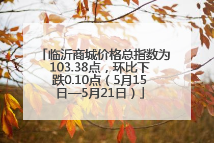临沂商城价格总指数为103.38点，环比下跌0.10点（5月15日—5月21日）