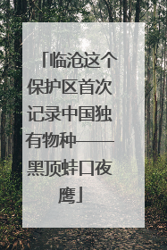临沧这个保护区首次记录中国独有物种——黑顶蛙口夜鹰