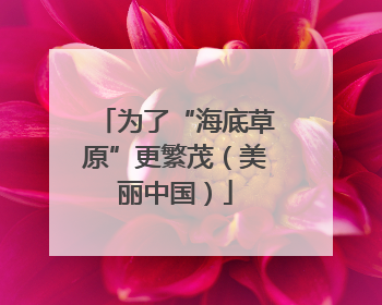 为了“海底草原”更繁茂（美丽中国）