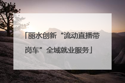 丽水创新“流动直播带岗车”全域就业服务