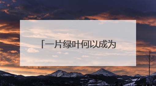 一片绿叶何以成为乡村振兴“金叶”