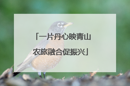 一片丹心映青山 农旅融合促振兴