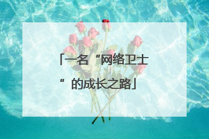 一名“网络卫士”的成长之路