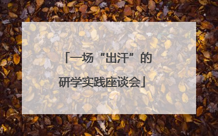 一场“出汗”的研学实践座谈会
