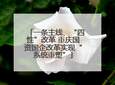 一条主线、“四性”改革 重庆国资国企改革实现“系统重塑”