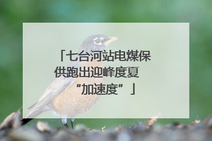 七台河站电煤保供跑出迎峰度夏 “加速度”