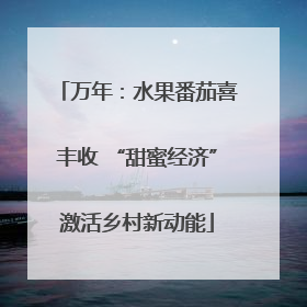 万年：水果番茄喜丰收 “甜蜜经济”激活乡村新动能