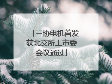 三协电机首发获北交所上市委会议通过