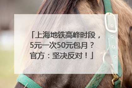 上海地铁高峰时段，5元一次50元包月？官方：坚决反对！