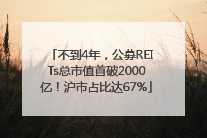 不到4年，公募REITs总市值首破2000亿！沪市占比达67%