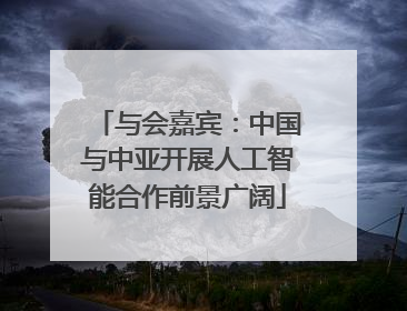 与会嘉宾：中国与中亚开展人工智能合作前景广阔