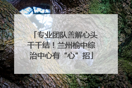 专业团队善解心头千千结！兰州榆中综治中心有“心”招