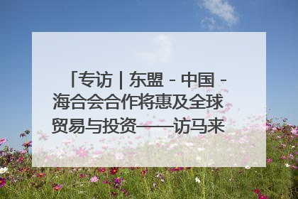 专访｜东盟－中国－海合会合作将惠及全球贸易与投资——访马来西亚亚太“一带一路”共策会高级研究员本恩·纳戈拉