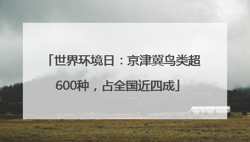 世界环境日：京津冀鸟类超600种，占全国近四成