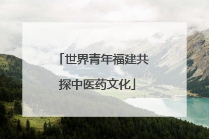 世界青年福建共探中医药文化