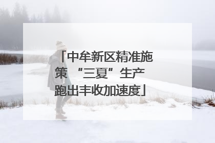 中牟新区精准施策 “三夏”生产跑出丰收加速度