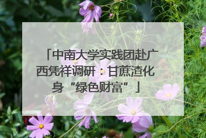 中南大学实践团赴广西凭祥调研：甘蔗渣化身“绿色财富”