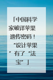 中国科学家破译苹果遗传密码！“设计苹果”有了“法宝”
