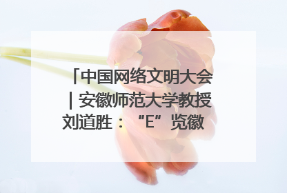 中国网络文明大会｜安徽师范大学教授刘道胜：“E”览徽风，构筑中华民族共有精神家园