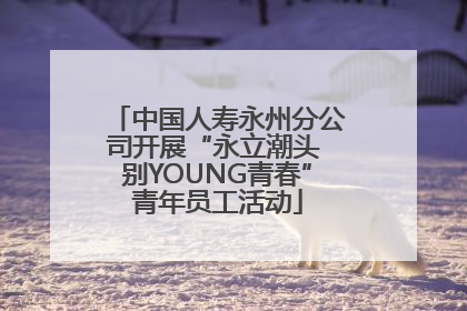 中国人寿永州分公司开展“永立潮头 别YOUNG青春”青年员工活动