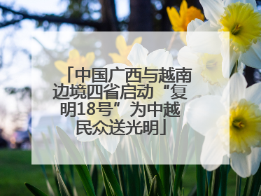 中国广西与越南边境四省启动“复明18号”为中越民众送光明