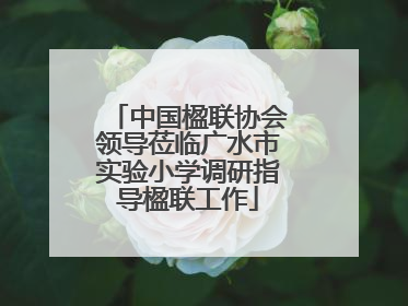 中国楹联协会领导莅临广水市实验小学调研指导楹联工作