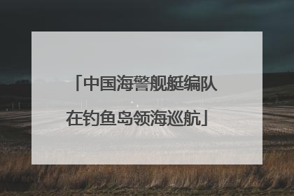 中国海警舰艇编队在钓鱼岛领海巡航