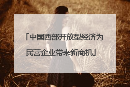 中国西部开放型经济为民营企业带来新商机