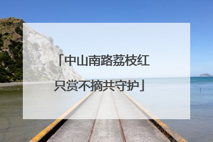 中山南路荔枝红 只赏不摘共守护
