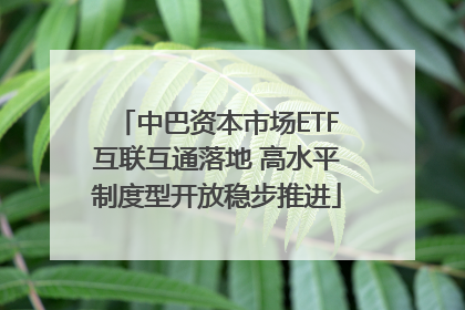 中巴资本市场ETF互联互通落地 高水平制度型开放稳步推进