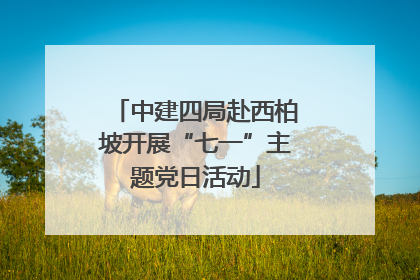 中建四局赴西柏坡开展“七一”主题党日活动