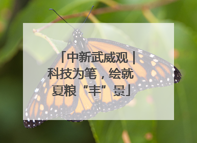 中新武威观｜科技为笔，绘就夏粮“丰”景