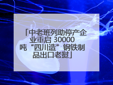 中老班列助停产企业重启 30000吨“四川造”钢铁制品出口老挝