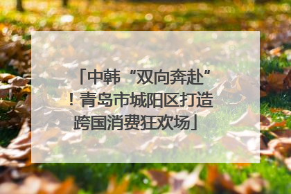 中韩“双向奔赴”！青岛市城阳区打造跨国消费狂欢场