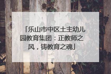 乐山市中区土主幼儿园教育集团：正教师之风，铸教育之魂