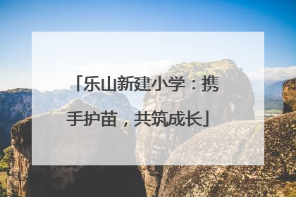 乐山新建小学：携手护苗，共筑成长