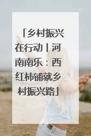 乡村振兴在行动丨河南南乐：西红柿铺就乡村振兴路
