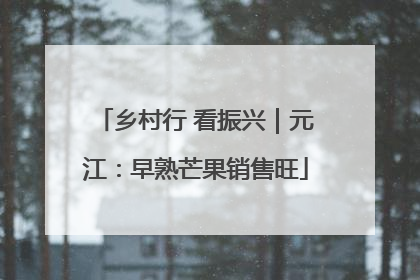 乡村行 看振兴｜元江：早熟芒果销售旺