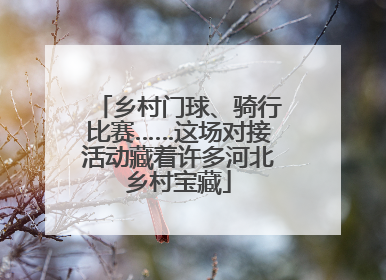 乡村门球、骑行比赛……这场对接活动藏着许多河北乡村宝藏