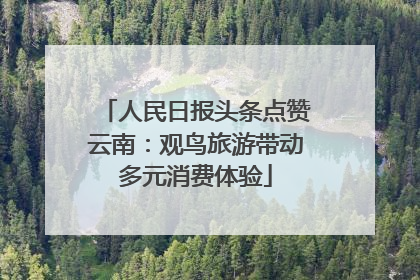 人民日报头条点赞云南：观鸟旅游带动多元消费体验