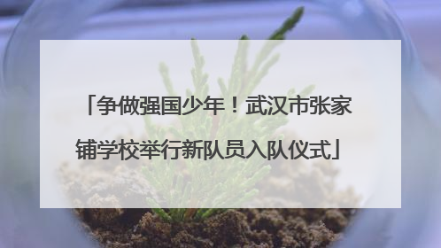 争做强国少年！武汉市张家铺学校举行新队员入队仪式